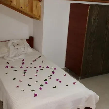 Riverside داليان