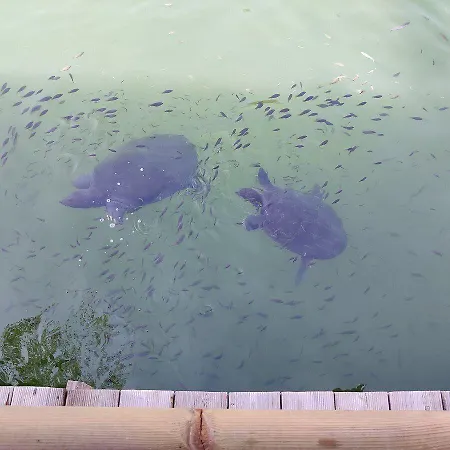 Riverside فندق داليان